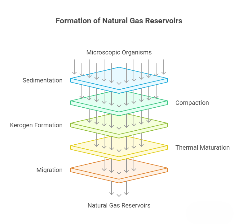 Formation of Natural Gas Reservoirs